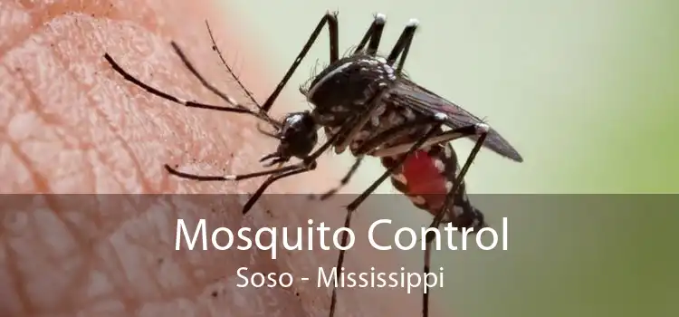Mosquito Control Soso - Mississippi