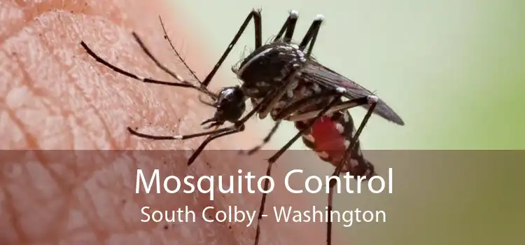 Mosquito Control South Colby - Washington