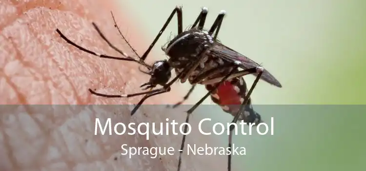 Mosquito Control Sprague - Nebraska