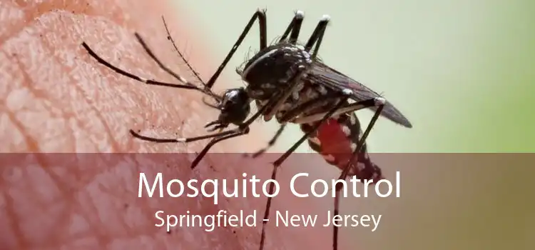Mosquito Control Springfield - New Jersey