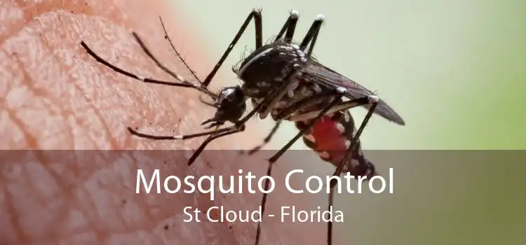 Mosquito Control St Cloud - Florida