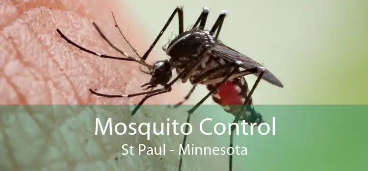 Mosquito Control St Paul - Minnesota