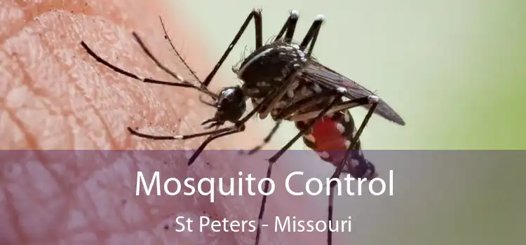 Mosquito Control St Peters - Missouri