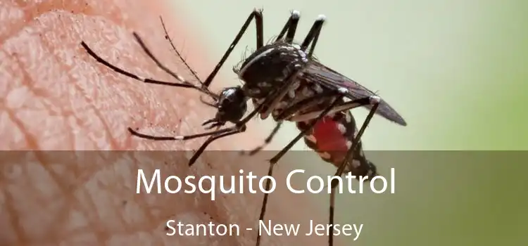 Mosquito Control Stanton - New Jersey