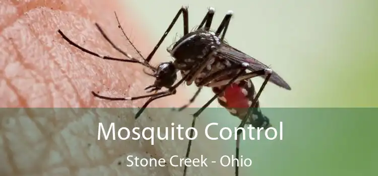 Mosquito Control Stone Creek - Ohio