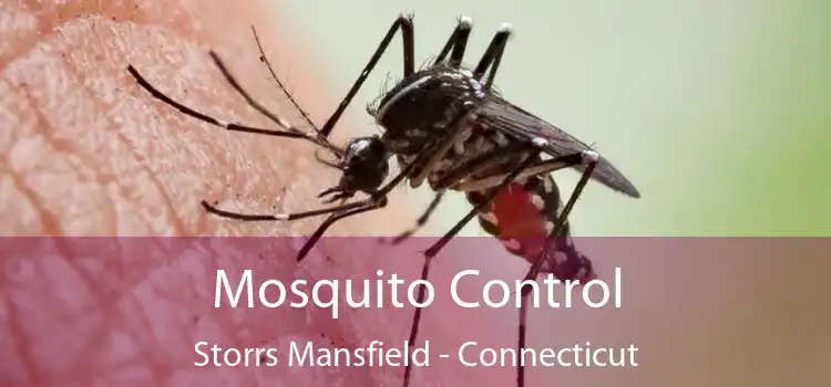 Mosquito Control Storrs Mansfield - Connecticut