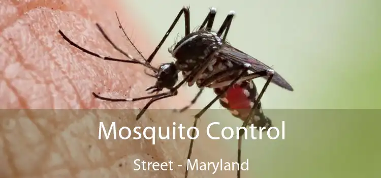 Mosquito Control Street - Maryland