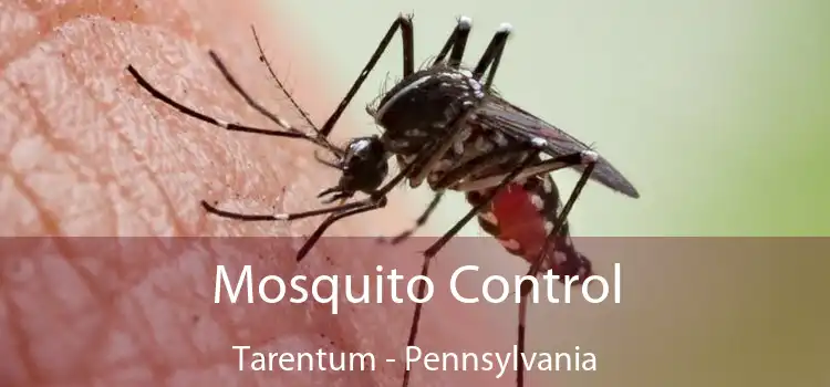 Mosquito Control Tarentum - Pennsylvania