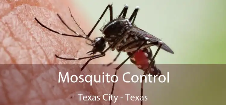 Mosquito Control Texas City - Texas