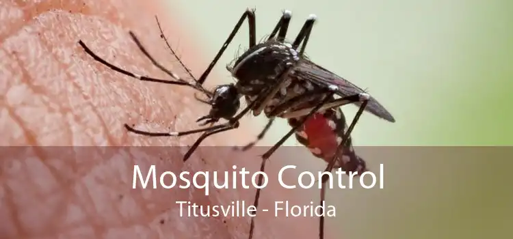 Mosquito Control Titusville - Florida