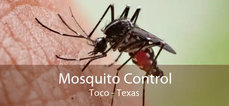 Mosquito Control Toco - Texas