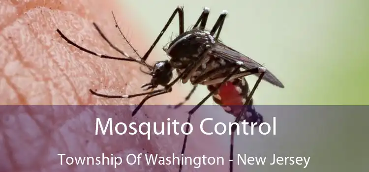 Mosquito Control Township Of Washington - New Jersey