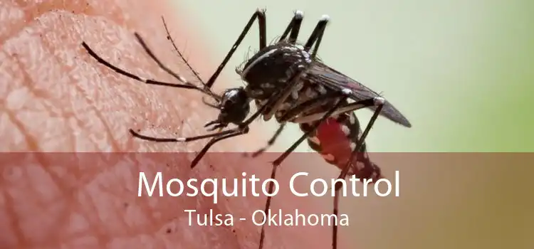 Mosquito Control Tulsa - Oklahoma