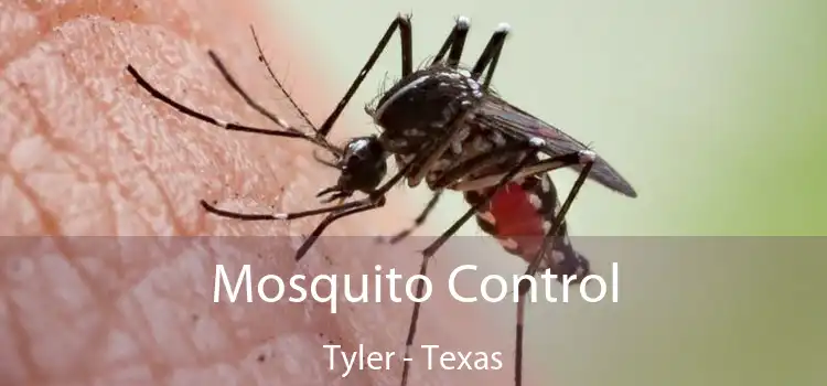 Mosquito Control Tyler - Texas