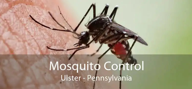Mosquito Control Ulster - Pennsylvania