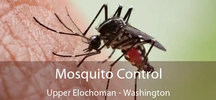 Mosquito Control Upper Elochoman - Washington