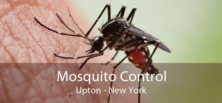 Mosquito Control Upton - New York