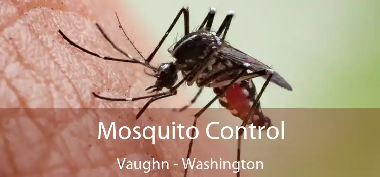 Mosquito Control Vaughn - Washington