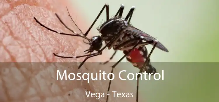 Mosquito Control Vega - Texas