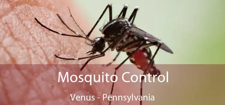 Mosquito Control Venus - Pennsylvania