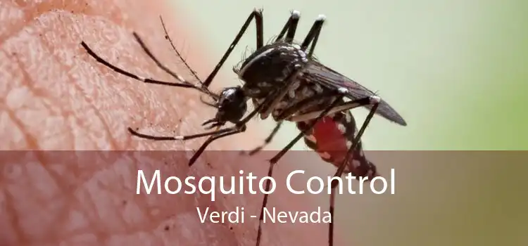 Mosquito Control Verdi - Nevada