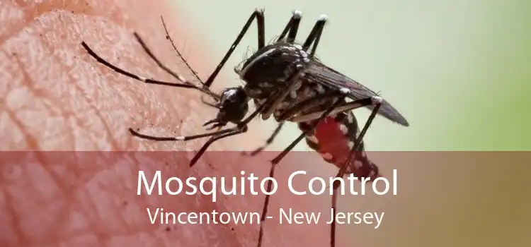 Mosquito Control Vincentown - New Jersey