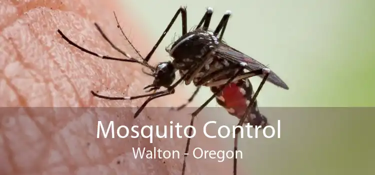 Mosquito Control Walton - Oregon