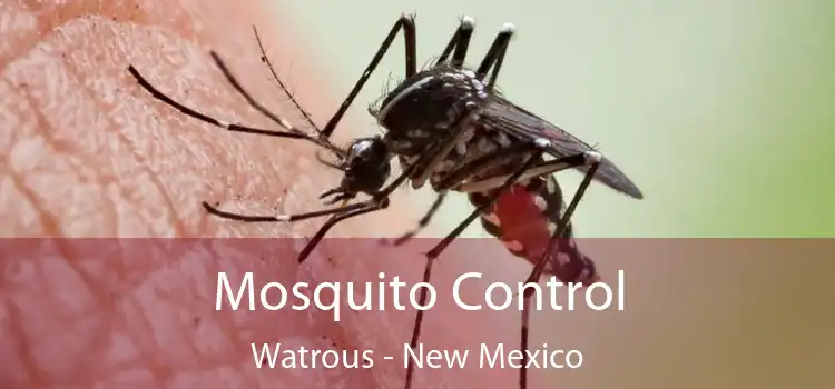 Mosquito Control Watrous - New Mexico