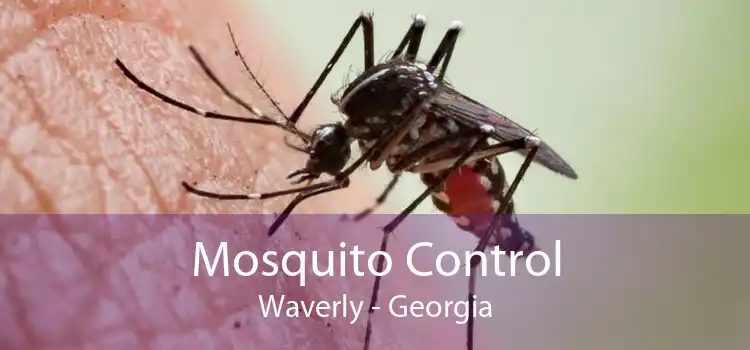 Mosquito Control Waverly - Georgia