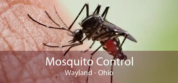 Mosquito Control Wayland - Ohio