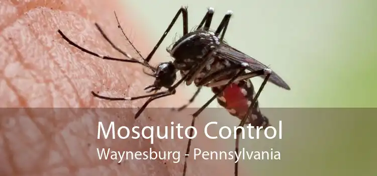 Mosquito Control Waynesburg - Pennsylvania