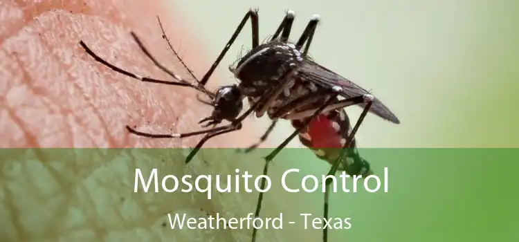 Mosquito Control Weatherford - Texas