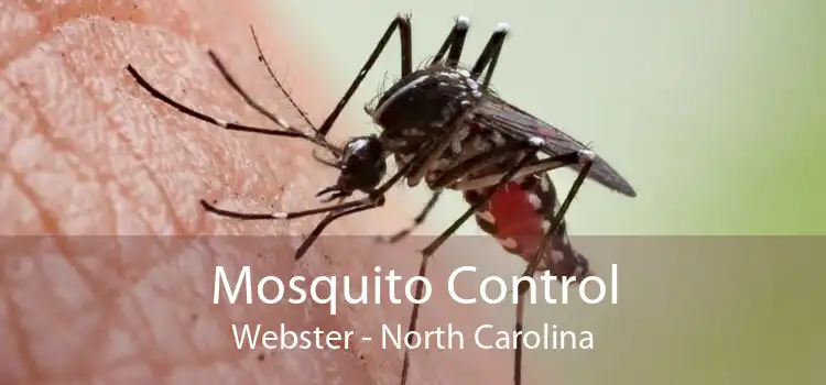 Mosquito Control Webster - North Carolina