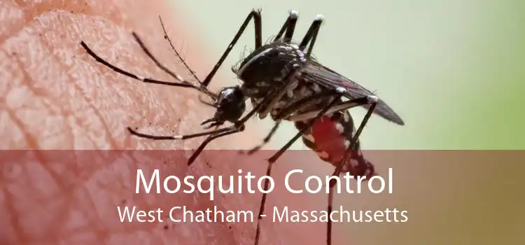 Mosquito Control West Chatham - Massachusetts