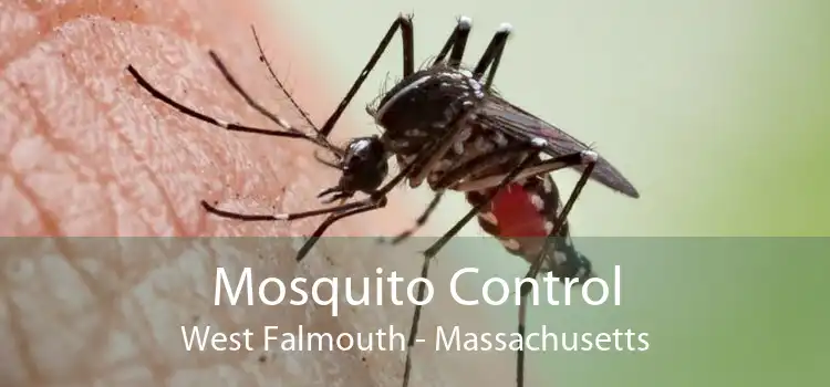 Mosquito Control West Falmouth - Massachusetts