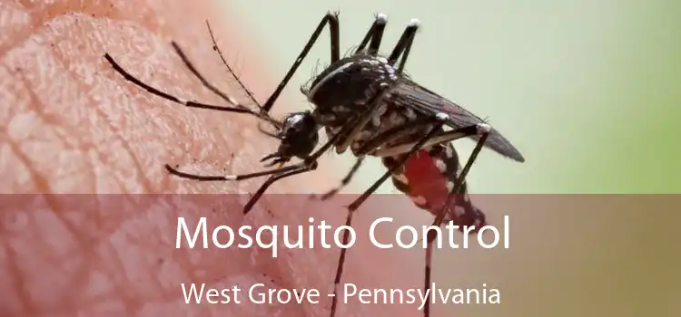 Mosquito Control West Grove - Pennsylvania