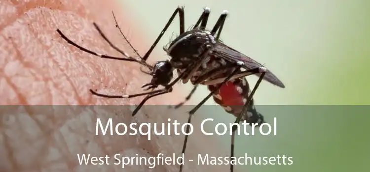 Mosquito Control West Springfield - Massachusetts