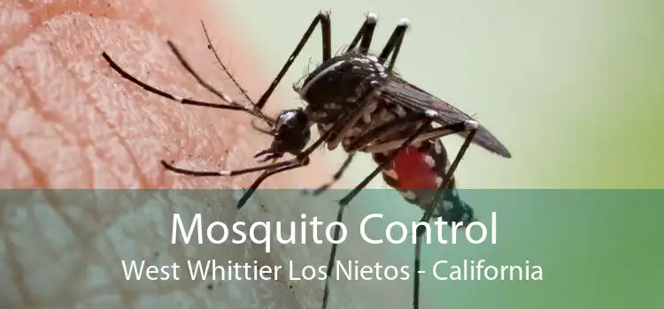 Mosquito Control West Whittier Los Nietos - California
