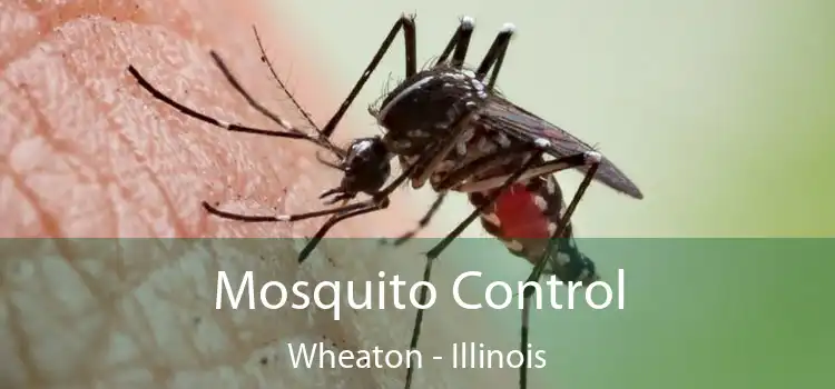 Mosquito Control Wheaton - Illinois