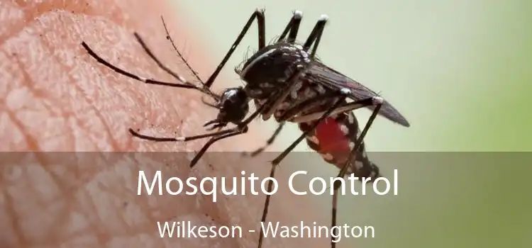 Mosquito Control Wilkeson - Washington