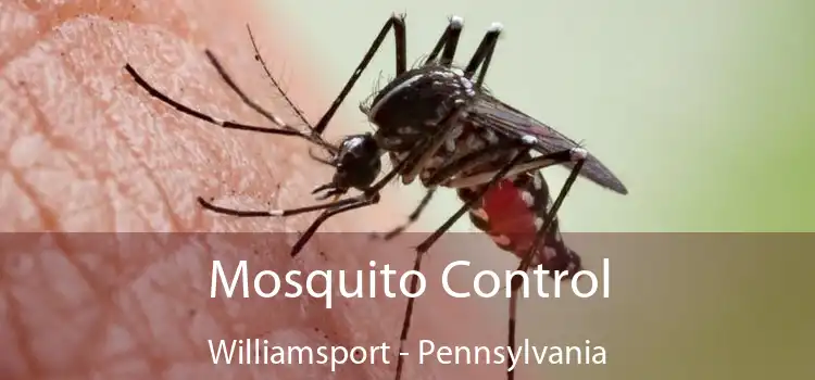 Mosquito Control Williamsport - Pennsylvania