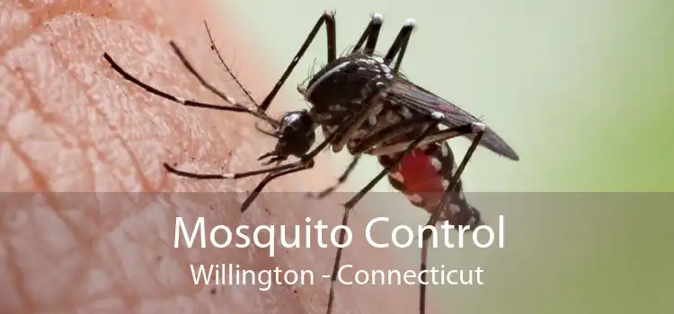 Mosquito Control Willington - Connecticut