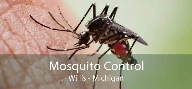Mosquito Control Willis - Michigan