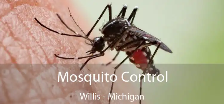 Mosquito Control Willis - Michigan