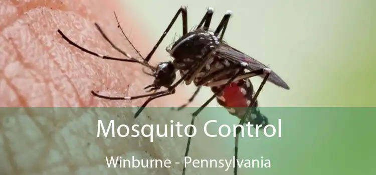 Mosquito Control Winburne - Pennsylvania