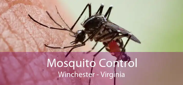 Mosquito Control Winchester - Virginia