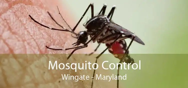 Mosquito Control Wingate - Maryland