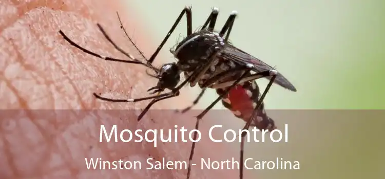 Mosquito Control Winston Salem - North Carolina