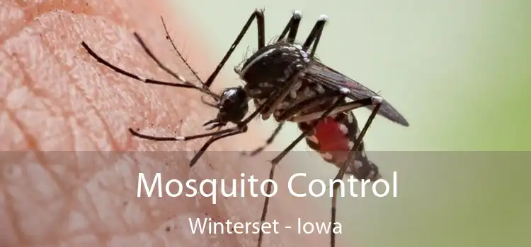 Mosquito Control Winterset - Iowa