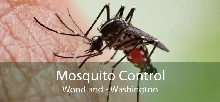 Mosquito Control Woodland - Washington